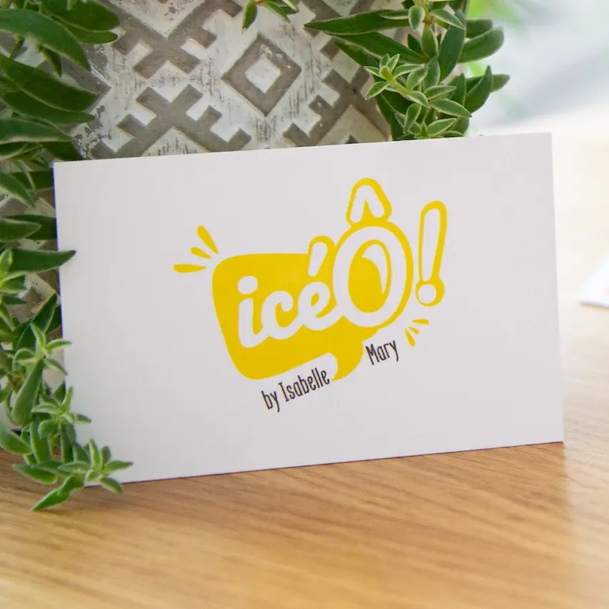 16-Iceo Image - Carton design Icéo
